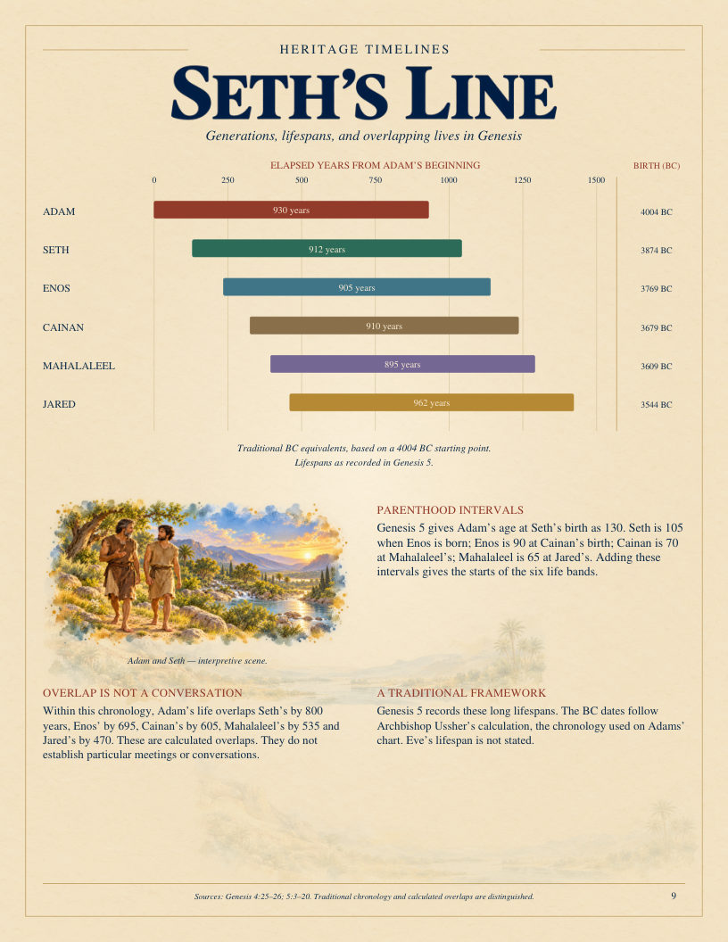 Seth's Line: lifespans drawn to scale